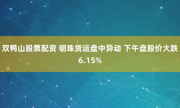 双鸭山股票配资 明珠货运盘中异动 下午盘股价大跌6.15%