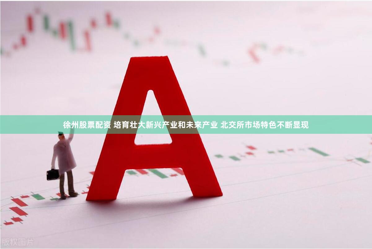 徐州股票配资 培育壮大新兴产业和未来产业 北交所市场特色不断显现