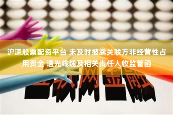 沪深股票配资平台 未及时披露关联方非经营性占用资金 通光线缆及相关责任人收监管函
