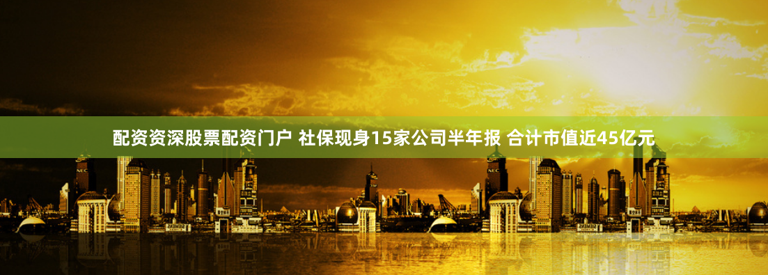 配资资深股票配资门户 社保现身15家公司半年报 合计市值近45亿元