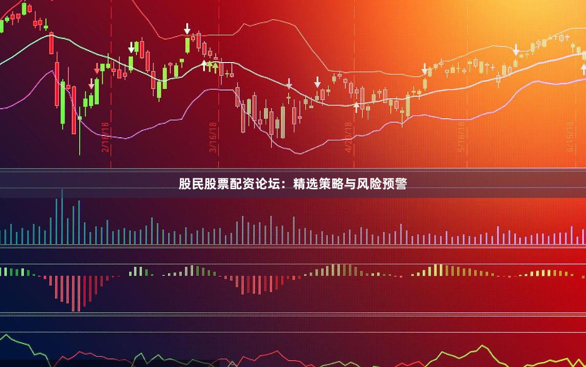 股民股票配资论坛：精选策略与风险预警